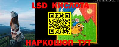 крисы Лесосибирск