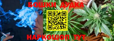 крисы Лесосибирск