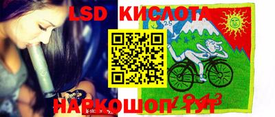 крисы Лесосибирск
