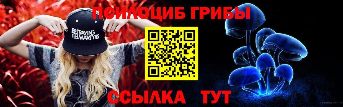 Псилоцибиновые грибы GOLDEN TEACHER  Вход с VPN  Славгород 